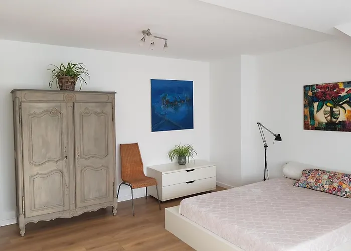 Maison Des Fleurs